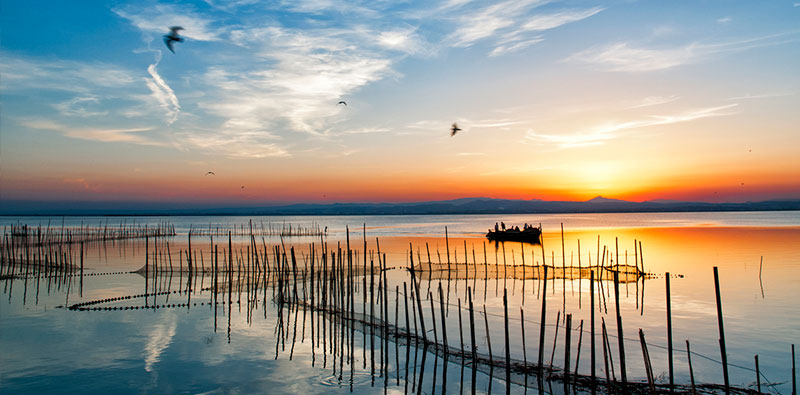 Albufera di Valencia in Estate