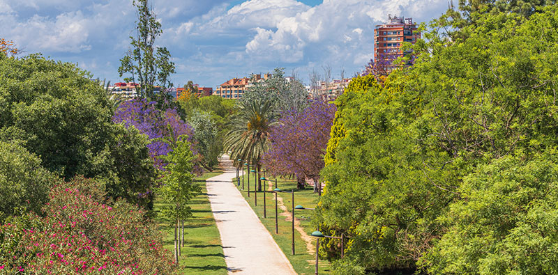 Il fiume di Valencia in estate