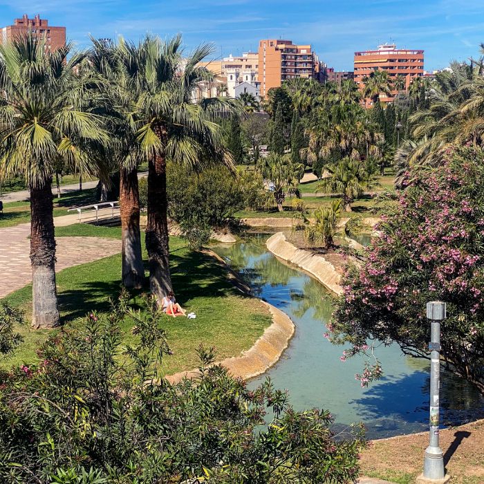 rio turia valencia palmeeras
